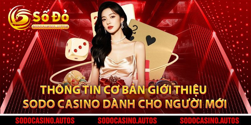 Thông Tin Cơ Bản Giới Thiệu Sodo Casino Dành Cho Người Mới